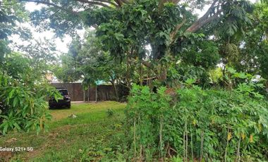 Residential Lot for Sale at Tiaong Quezon