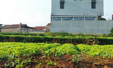 Dijual Tanah murah di Cihanjuang