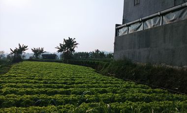 Dijual Tanah murah di Cihanjuang