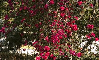 Venta de Casa en Villeta, Cundinamara, CAMPESTRE