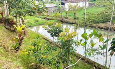 Villa kolam bojong Tanjungsari sumedang