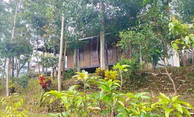 Villa kolam bojong Tanjungsari sumedang