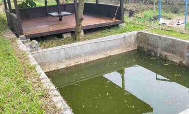 Villa kolam bojong Tanjungsari sumedang