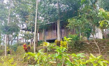 Villa kolam bojong Tanjungsari sumedang