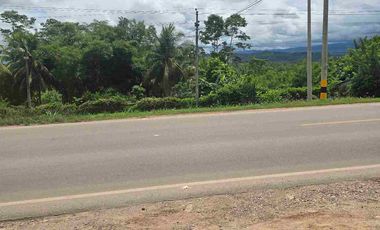 🔥 TERRENO 2.5 Ha EN FERNANDO BELAUNDE TERRY NORTE – ALTO TRÁFICO