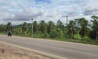 🔥 TERRENO 2.5 Ha EN FERNANDO BELAUNDE TERRY NORTE – ALTO TRÁFICO