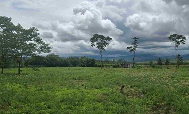 🔥 TERRENO 2.5 Ha EN FERNANDO BELAUNDE TERRY NORTE – ALTO TRÁFICO