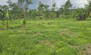 🔥 TERRENO 2.5 Ha EN FERNANDO BELAUNDE TERRY NORTE – ALTO TRÁFICO