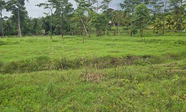 🔥 TERRENO 2.5 Ha EN FERNANDO BELAUNDE TERRY NORTE – ALTO TRÁFICO