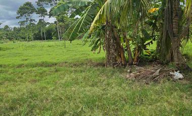 🔥 TERRENO 2.5 Ha EN FERNANDO BELAUNDE TERRY NORTE – ALTO TRÁFICO