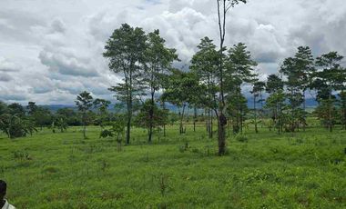 🔥 TERRENO 2.5 Ha EN FERNANDO BELAUNDE TERRY NORTE – ALTO TRÁFICO