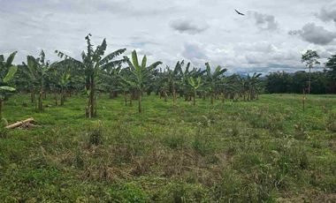 🔥 TERRENO 2.5 Ha EN FERNANDO BELAUNDE TERRY NORTE – ALTO TRÁFICO
