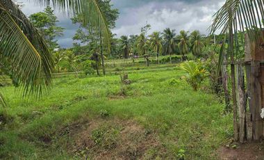🔥 TERRENO 2.5 Ha EN FERNANDO BELAUNDE TERRY NORTE – ALTO TRÁFICO