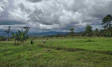 🔥 TERRENO 2.5 Ha EN FERNANDO BELAUNDE TERRY NORTE – ALTO TRÁFICO