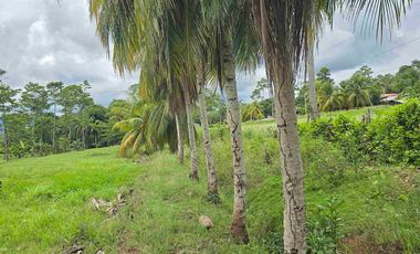 🔥 TERRENO 2.5 Ha EN FERNANDO BELAUNDE TERRY NORTE – ALTO TRÁFICO