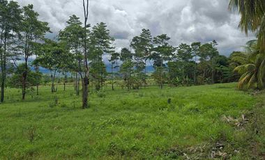 🔥 TERRENO 2.5 Ha EN FERNANDO BELAUNDE TERRY NORTE – ALTO TRÁFICO