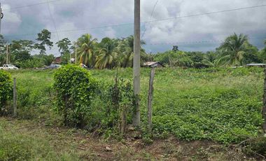 🔥 TERRENO 2.5 Ha EN FERNANDO BELAUNDE TERRY NORTE – ALTO TRÁFICO