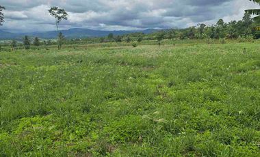 🔥 TERRENO 2.5 Ha EN FERNANDO BELAUNDE TERRY NORTE – ALTO TRÁFICO