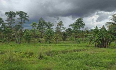 🔥 TERRENO 2.5 Ha EN FERNANDO BELAUNDE TERRY NORTE – ALTO TRÁFICO