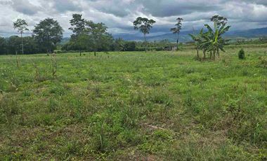 🔥 TERRENO 2.5 Ha EN FERNANDO BELAUNDE TERRY NORTE – ALTO TRÁFICO