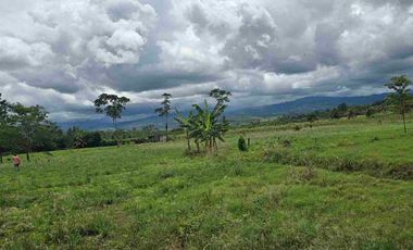 🔥 TERRENO 2.5 Ha EN FERNANDO BELAUNDE TERRY NORTE – ALTO TRÁFICO