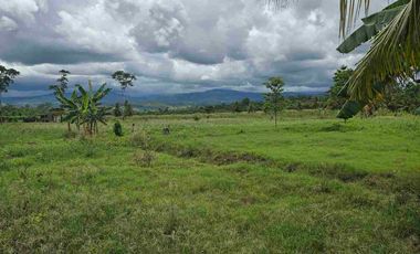 🔥 TERRENO 2.5 Ha EN FERNANDO BELAUNDE TERRY NORTE – ALTO TRÁFICO