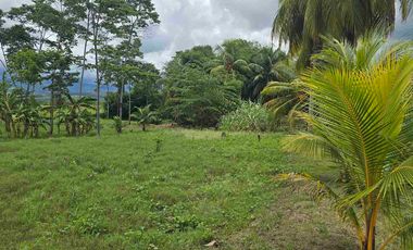🔥 TERRENO 2.5 Ha EN FERNANDO BELAUNDE TERRY NORTE – ALTO TRÁFICO