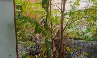 Rumah Murah di Taman Mutiara Indah 2 dekat Tol Serang Timur & Pasar Rau