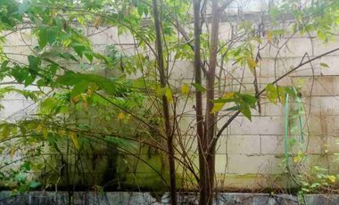 Rumah Murah di Taman Mutiara Indah 2 dekat Tol Serang Timur & Pasar Rau