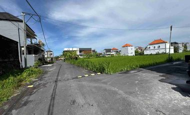 Tanah luas 1 are Jln sedap malam.gang popi