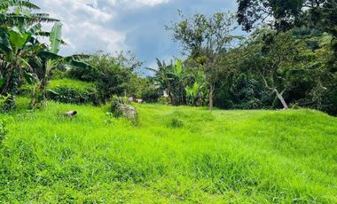 HERMOSO LOTE EN CONDOMINIO CAMPESTRE EN MONIQUIRA - BOYACA