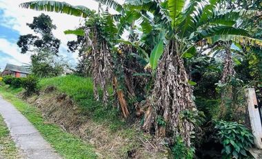 HERMOSO LOTE EN CONDOMINIO CAMPESTRE EN MONIQUIRA - BOYACA