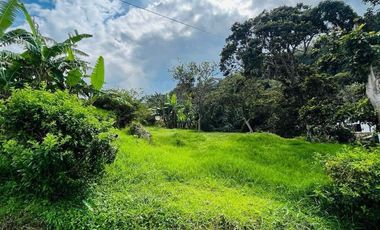 HERMOSO LOTE EN CONDOMINIO CAMPESTRE EN MONIQUIRA - BOYACA