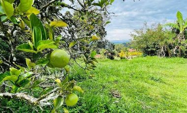 HERMOSO LOTE EN CONDOMINIO CAMPESTRE EN MONIQUIRA - BOYACA