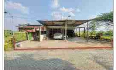 DIJUAL TANAH

KEL. : BANJAREJO
KEC  : KEDUNGPRING
KAB  : LAMONGAN