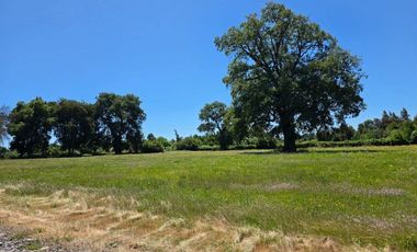 Vende Sitio Camino Cerro Colorado Los Ángeles.
