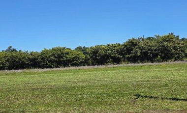 Vende Sitio Camino Cerro Colorado Los Ángeles.