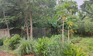 Dijual / Disewakan Pabrik Gudang Baru 10.200 m², SHM, Jalan Raya Pandeglang–Rangkas, Akses Tol
