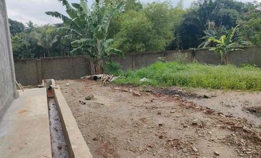 Dijual / Disewakan Pabrik Gudang Baru 10.200 m², SHM, Jalan Raya Pandeglang–Rangkas, Akses Tol