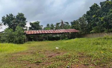 Dijual / Disewakan Pabrik Gudang Baru 10.200 m², SHM, Jalan Raya Pandeglang–Rangkas, Akses Tol