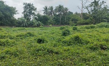 Dijual / Disewakan Pabrik Gudang Baru 10.200 m², SHM, Jalan Raya Pandeglang–Rangkas, Akses Tol