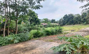 Dijual / Disewakan Pabrik Gudang Baru 10.200 m², SHM, Jalan Raya Pandeglang–Rangkas, Akses Tol