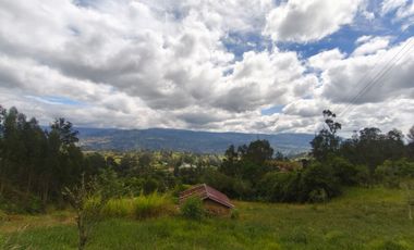 SE VENDE FINCA EN JENESANO-BOYACA