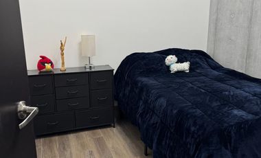 Departamento en Renta 2r en Zona Centro (Semillero Madero), en Monterrey, Nl.