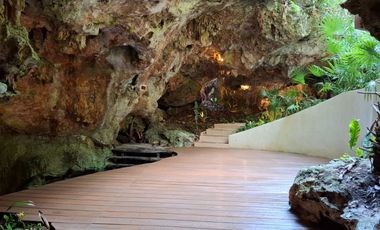 Invierte en Riviera Maya: Lotes Premium con 3 Cenotes Privados
