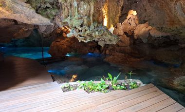 Invierte en Riviera Maya: Lotes Premium con 3 Cenotes Privados