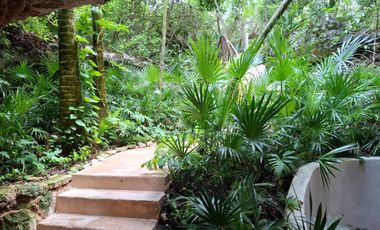 Invierte en Riviera Maya: Lotes Premium con 3 Cenotes Privados