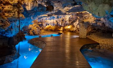 Invierte en Riviera Maya: Lotes Premium con 3 Cenotes Privados