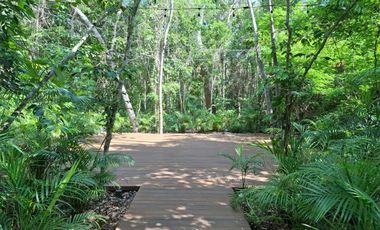 Invierte en Riviera Maya: Lotes Premium con 3 Cenotes Privados