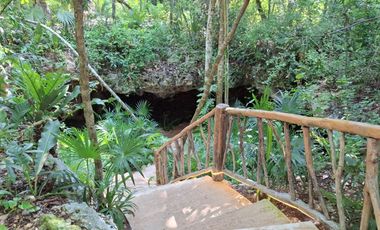 Invierte en Riviera Maya: Lotes Premium con 3 Cenotes Privados